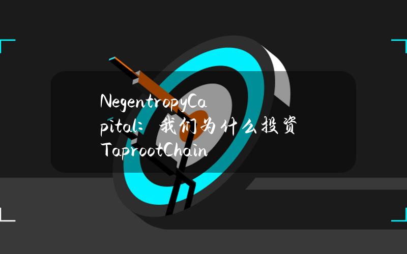 NegentropyCapital：我们为什么投资TaprootChain