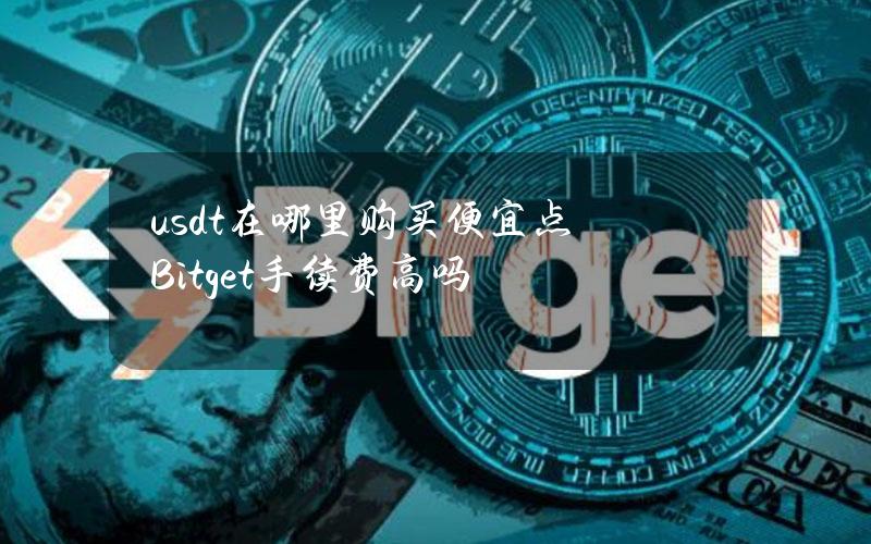 usdt在哪里购买便宜点？Bitget手续费高吗？